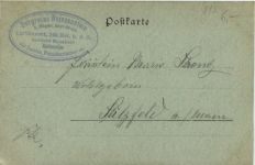 Gruss aus dem Bair. Wald - Ruine Weissenstein bei Regen