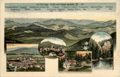 Zwiesel Schönberg - Künstler-AK Eugen Felle