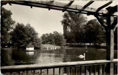 Kandel/Pfalz, Schwanenweiher