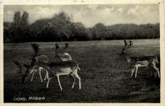 Leipzig, Wildpark