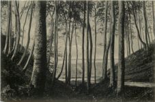 Timmendorfer Strand, Die Wolfsschlucht in der Kammer