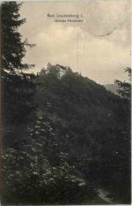 Bad Leutenberg, Schloss Friedensburg