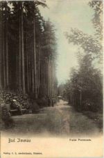 Saalburg mit der neuen Brücke