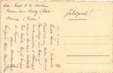 Pirna a.d. Elbe, Blick auf das Schloss und die Kirche