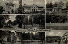 Gruss aus Bad Waldliesborn, div. Bilder