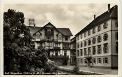 Bad Rippoldsau, Brunnen und Badbau
