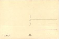 Riesa an der Elbe, Am Stadtpark mit Elbe