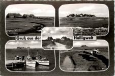 Gruss aus der Halligwelt, div. Bilder