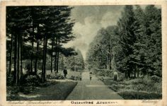 Ostseebad Brunshaupten - Waldweg