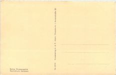 Rathen mit dem Gammerig