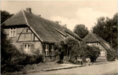 Bad Sülze Meckl., Salinhäuser