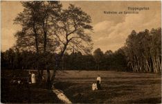 Hoppegarten, Waldwiese am Sanatorium
