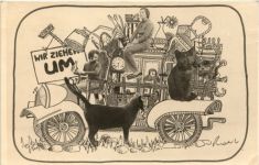 Umzug - Katze - Uster