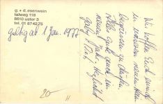 Umzug - Katze - Uster