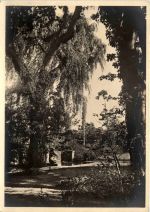 Zürich - ZÜGA - Gartenbau Ausstellung