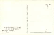 Aalsmeer - Bloemencorso