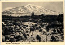 Etna - Paesaggio invernale