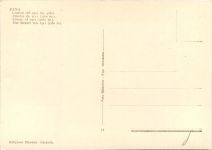 Etna - Cratere del 1911