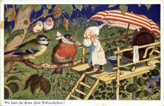 Zwerg - Vögel - Wo hast du denn dein Wehwehchen?