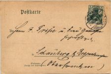 Jäger Zeitung - Wildschweine