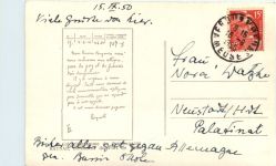 Verdun - Taube
