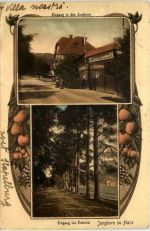Jungborn im Harz