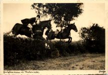 Springreiten - Verden - 3. Reich