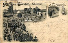 Schweinfurt - Gruss vom Vogelschuss - Litho