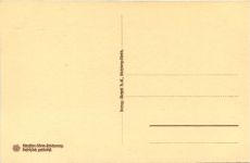 Zürich - Das Grossmünster - Steinzeichnung