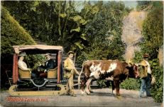 Madeira - Carro de bois