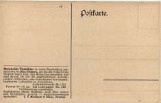 Kühe - Künstler AK K Wagner