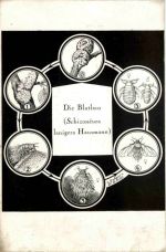 Die Blutlaus