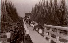 Marken