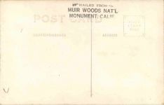 Muir Woods - National Monument California