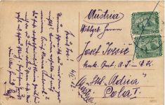 Alexandria - Palmier de Sidy Gaber