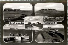 Gruss aus der Halligwelt, div. Bilder