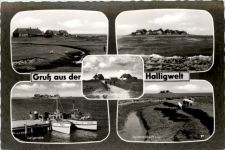 Gruss aus der Halligwelt, div. Bilder