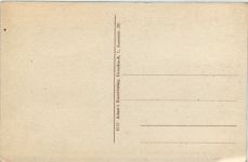 Dresden, Pillnitz, Camelienbaum im Schlosspark