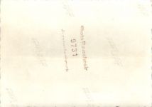 Fürstenfeldbruck - Zoo - Elefant