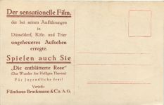 Film - Die entblätterte Rose