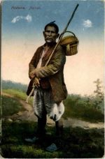 Madeira - Natives