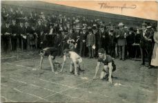 Sport - Leichtathletik