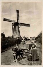 Zeeuwsche Hondenkar - Windmühle
