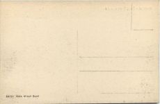 Messina - Ferry Boats in arrivo