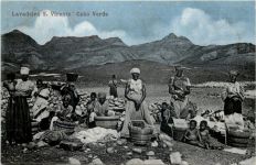 Cabo Verde - Lavadeira S. Vicente