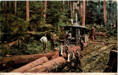 Logging with Donkey Engine near Olympia Washington