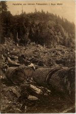 Holzfäller am kleinen Falkenstein
