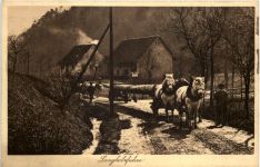 Langholzfuhre