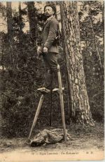 Type Landais - Un Echassier