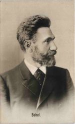 Bebel - Politiker